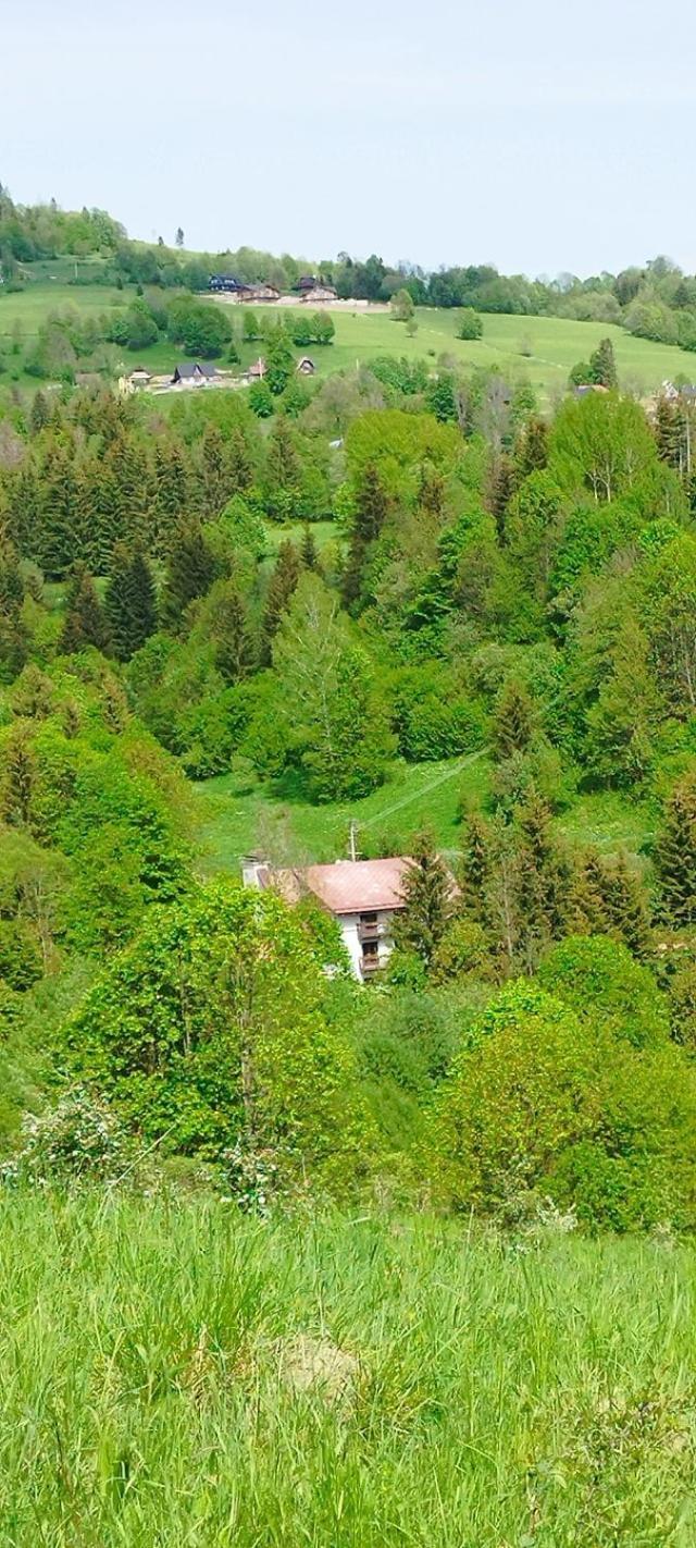 Penzion Zazrifka Zázrivá エクステリア 写真