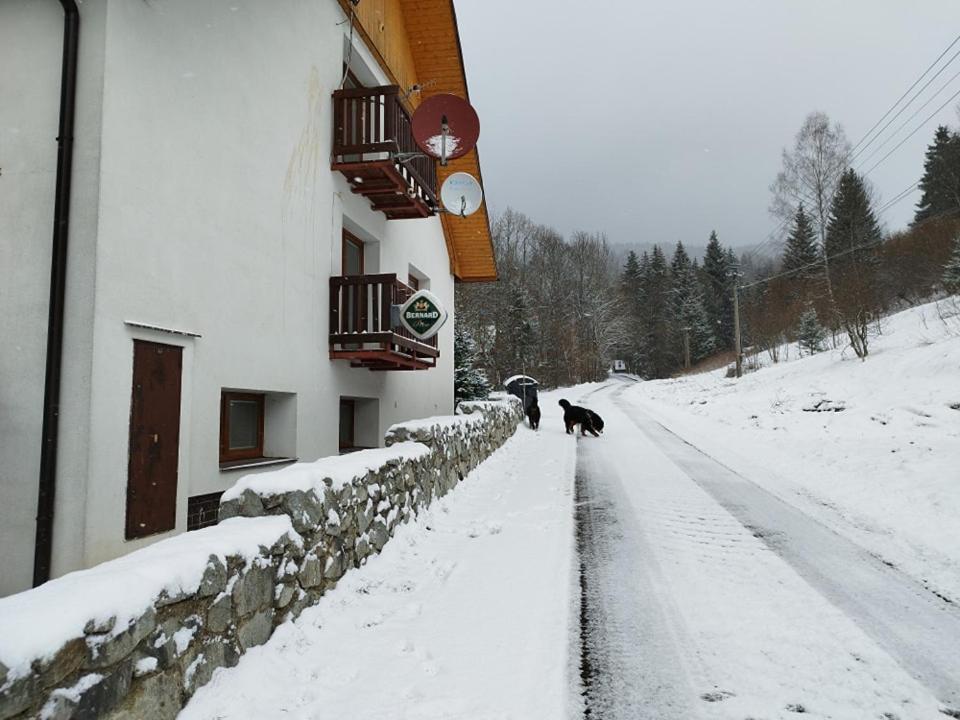 Penzion Zazrifka Zázrivá エクステリア 写真