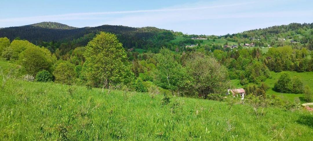 Penzion Zazrifka Zázrivá エクステリア 写真