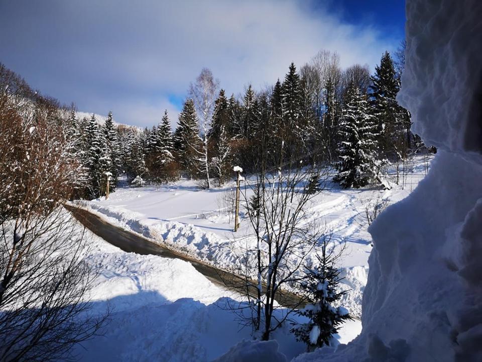Penzion Zazrifka Zázrivá エクステリア 写真