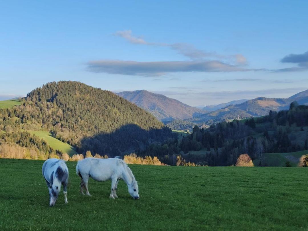 Penzion Zazrifka Zázrivá エクステリア 写真
